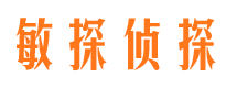 临潭侦探公司